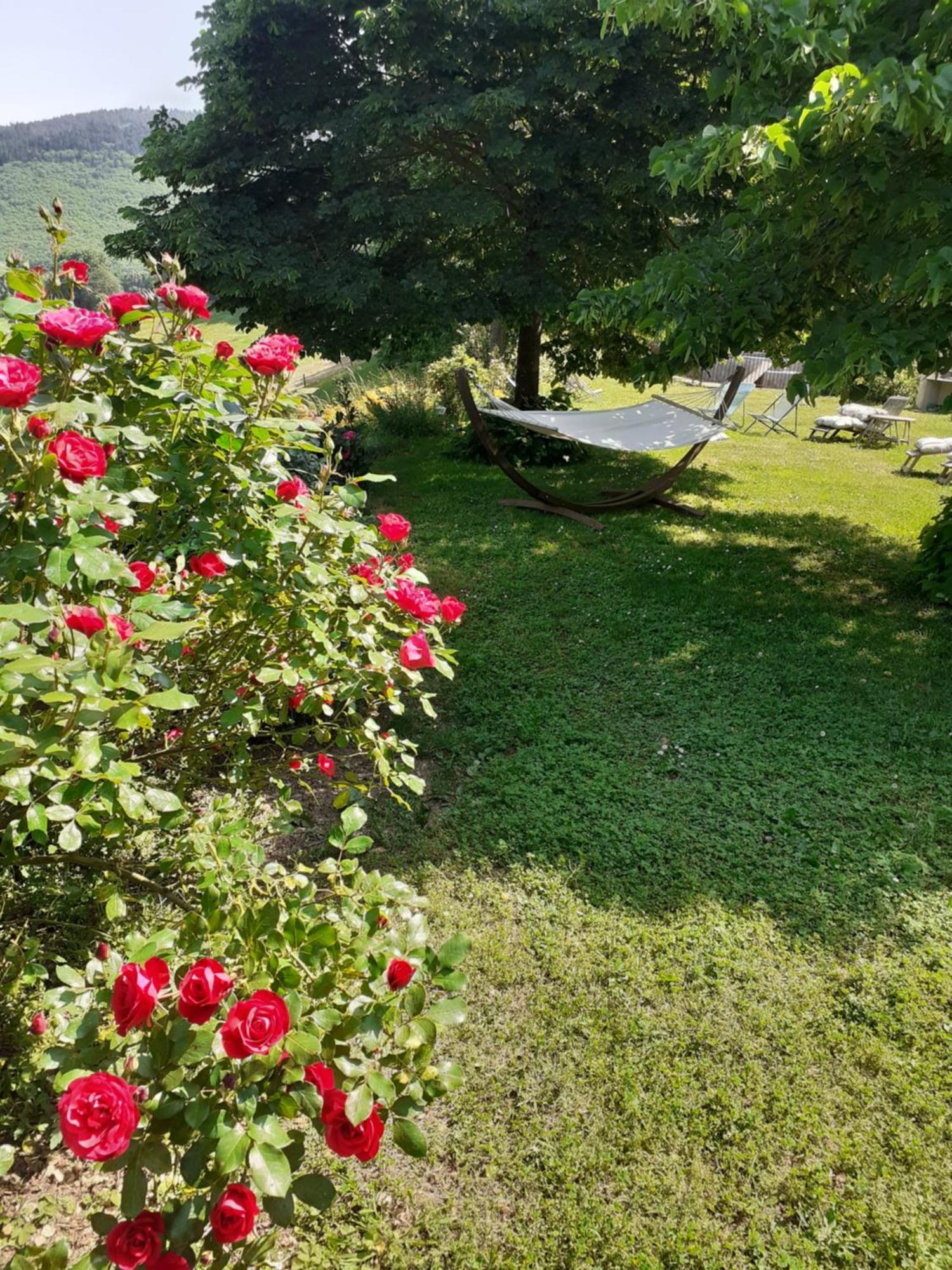 Nabat Le Haut, Chambre Et Table D'Hotes Courniou Exterior photo